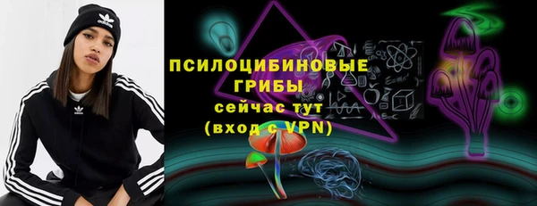 сатива Алзамай
