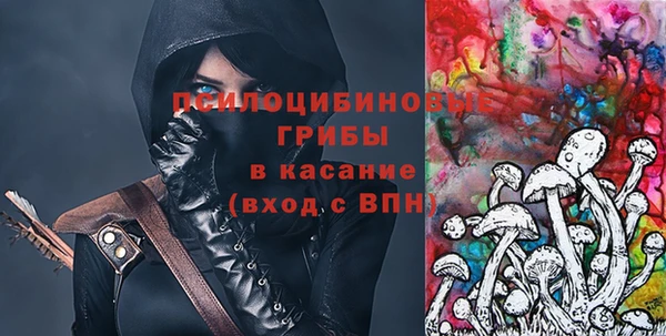 сатива Алзамай