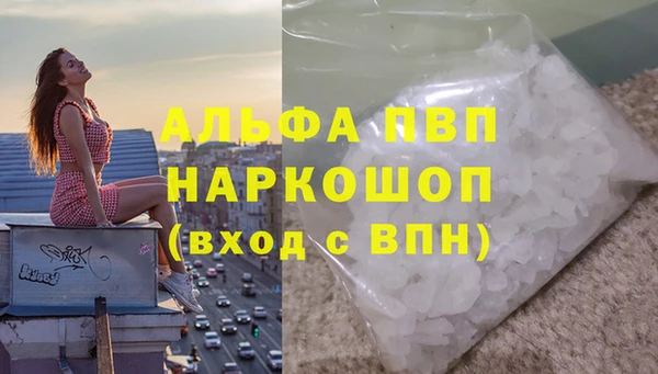 сатива Алзамай