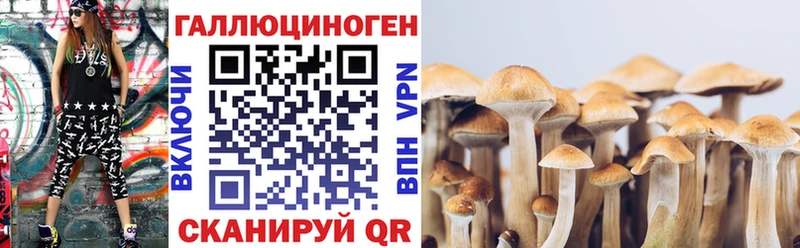 Псилоцибиновые грибы GOLDEN TEACHER  Тосно 