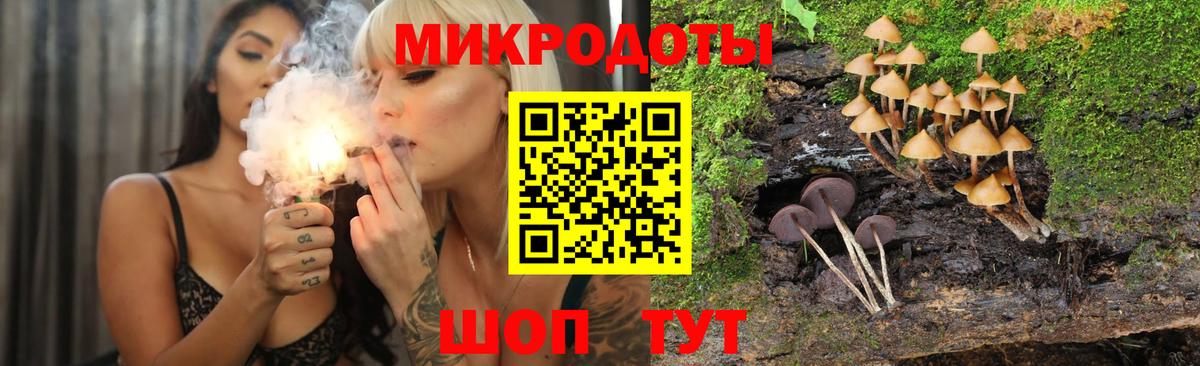 Тосно  Галлюциногенные грибы Magic Shrooms  Вход с VPN 