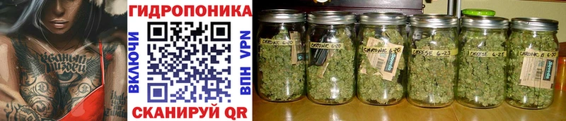 как найти закладки  Тосно  Бошки Шишки SATIVA & INDICA 